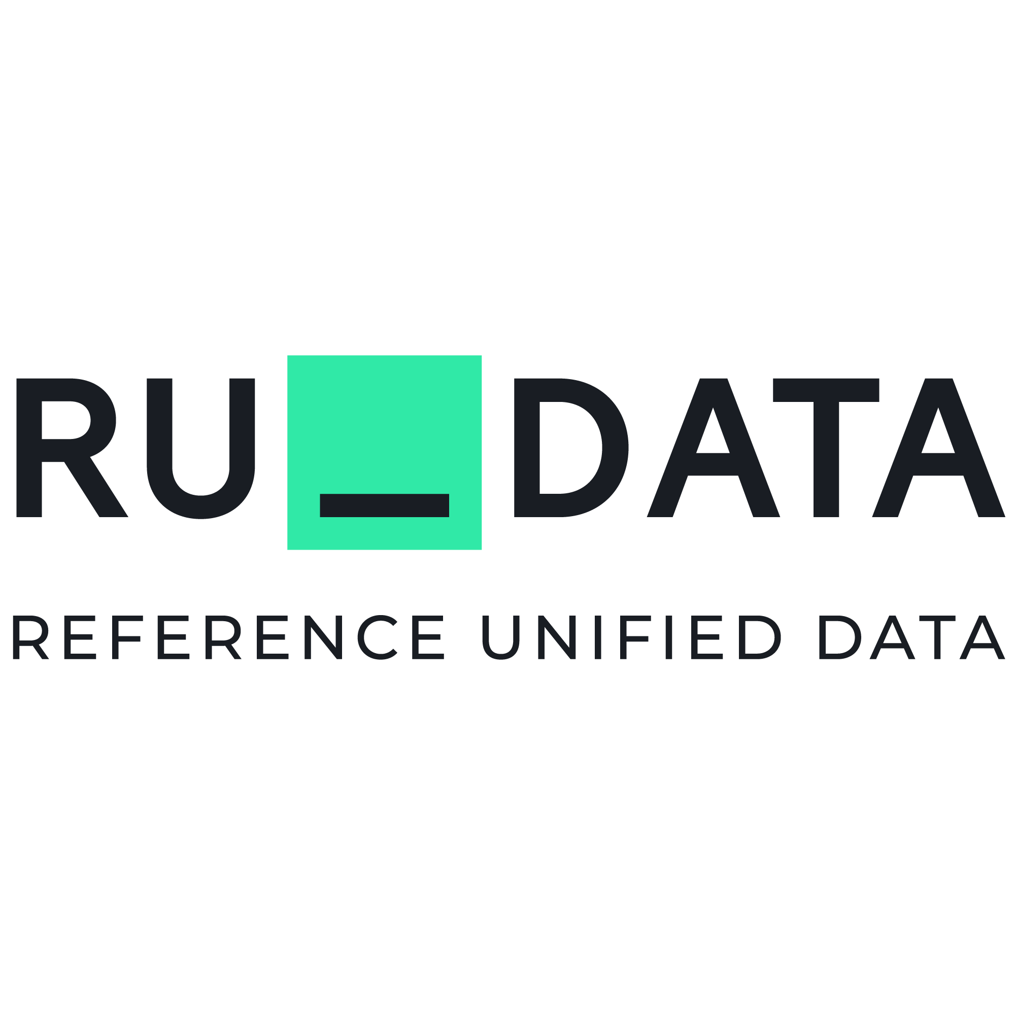 RUDATA лого